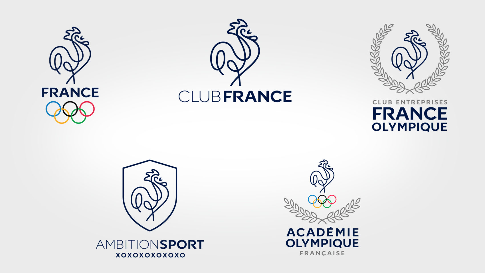 Projet_project_realisation_CNOSF_comite_national_olympique_et_sportif_francais_3