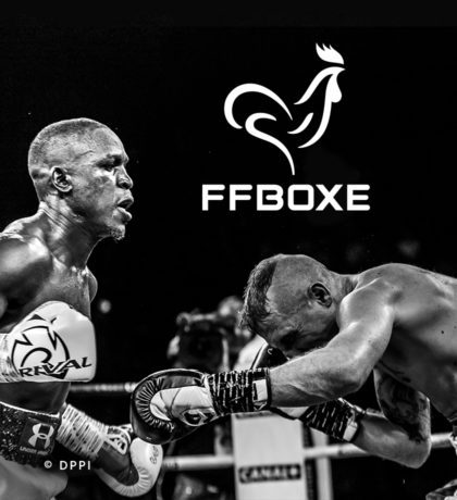 Projet_project_realisation_Federation_francaise_french_boxe_Vignette